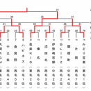 関東ブロック群馬県予選会最終日です！