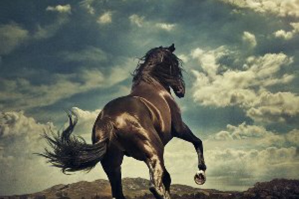 Hello Sunshine ハロー サンシャイン Bruce Springsteen ブルース スプリングスティーン 19 洋楽和訳 Neverending Music