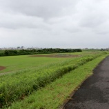『雨が止みましたので場内を巡回しました』の画像