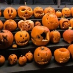 お星様のなんでも探検