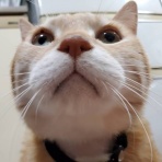 やまみやけいいちろう日記