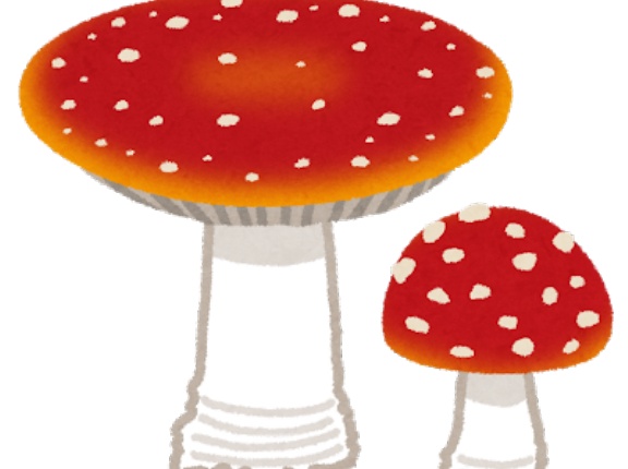 【朗報】毒キノコが大豊作、急げ！！！