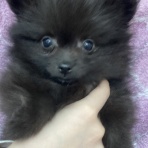 宮崎県 ワンラブ ホームワイドプラス都城店のスタッフblog