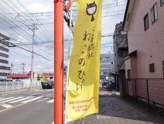 昨日は秘密結社ねこのひげ譲渡会♪