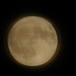 今夜の月