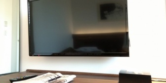 テレビに向かって「逃げてー！」「そこ危ない！」とか叫ぶ友人（22歳）　うるせえバカ黙ってみてろ