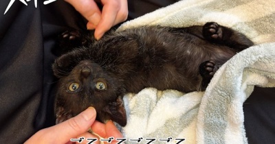 みんにゃで爪切りサービス