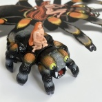 ガーガメル放送局