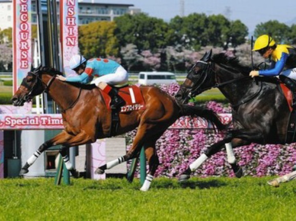 【阪神牝馬S】1番人気エンブロイダリーが逃げ切りＶ！重賞4勝目