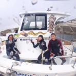 ダイビングツアー報告 マナティーズ