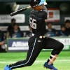 万波中正 ８月８日以来の17号先頭打者弾　
