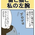 ひよっこ一家備忘録