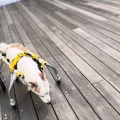 だんだんと