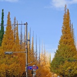 『【写真】 原宿付近 ❷  @ Xperia 1vii』の画像