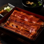 【朗報】完全養殖ウナギ、販売開始