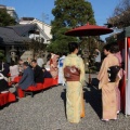 春の野点と落語と獅子舞を楽しむ会