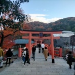 人生の長い午後