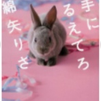 次読む本を探す森