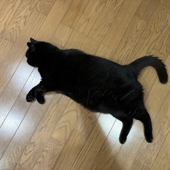 まだまだ若々しいスミちゃん