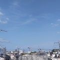 床にべったりシリーズ