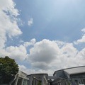 今日の練習 2025-07-13