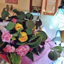 2/6㈮の店頭販売は14時〜18時😺