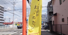 昨日は秘密結社ねこのひげ譲渡会♪