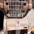 2回目の猫達の移動