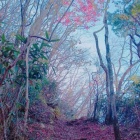 『まいこの写メ日記』の画像