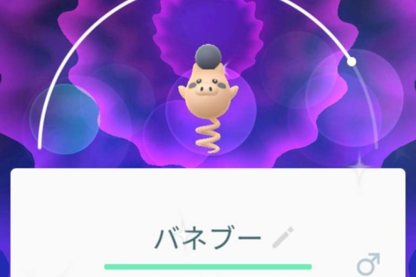 道産子トレーナーの ポケモンgo 奮闘記 Exレイドバトル