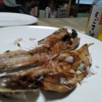 エゴマ・ベンガルの風にのって