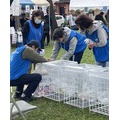 宮沢オータムフェスタ2026