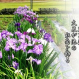 『日本一小さな文学館(いちのせき文学の蔵)と毛越寺(あやめまつり)』の画像