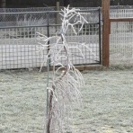 Bunnyの春夏秋冬