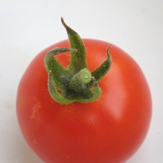 Heyモーの家庭菜園を楽しむ