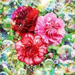 戒's gallery (GalleryGai)