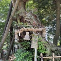 500年生きている