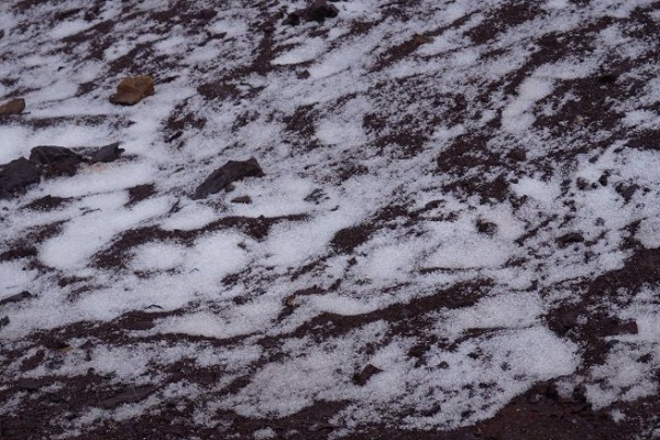 ペルーアマゾン日記