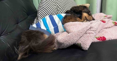 明日外来に突撃するぞ。