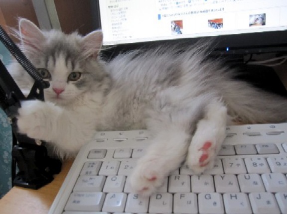 伊代ちゃんと同じ16歳になったケイちゃん