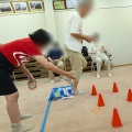 あるむ納涼祭