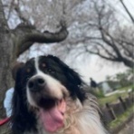 幸せになろうね♪