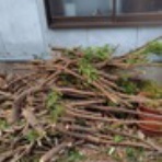 幕末・明治の肥前　こぼれ話