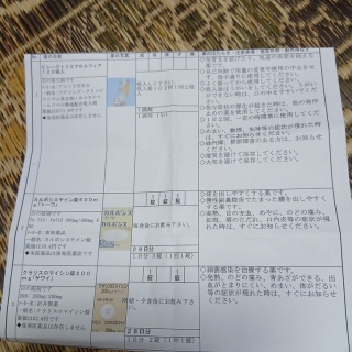 copd58　肺気腫　睡眠時無呼吸症