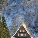 2025.12.17  一枚の彩時季