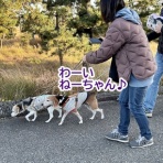 ガオだらけな日々　