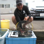伊南川の釣り blog