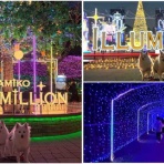 シェビーズのブログ