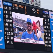 写真日記　2026年6月①交流戦と聖子ちゃん大忙しの週末