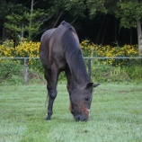 『暑さが続く？』の画像